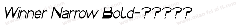 Winner Narrow Bold字体转换